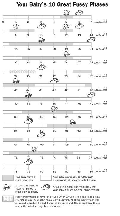 wonder-weeks-chart