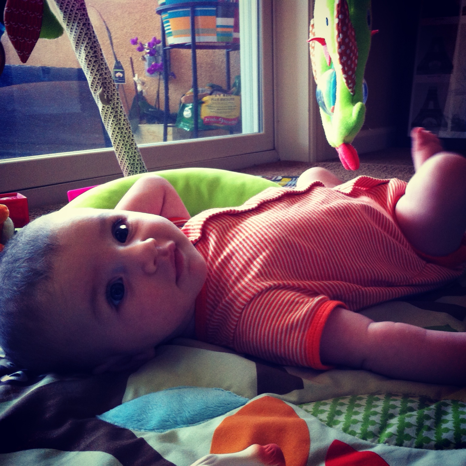 Daily Routine With a 12 WeekOld Baby